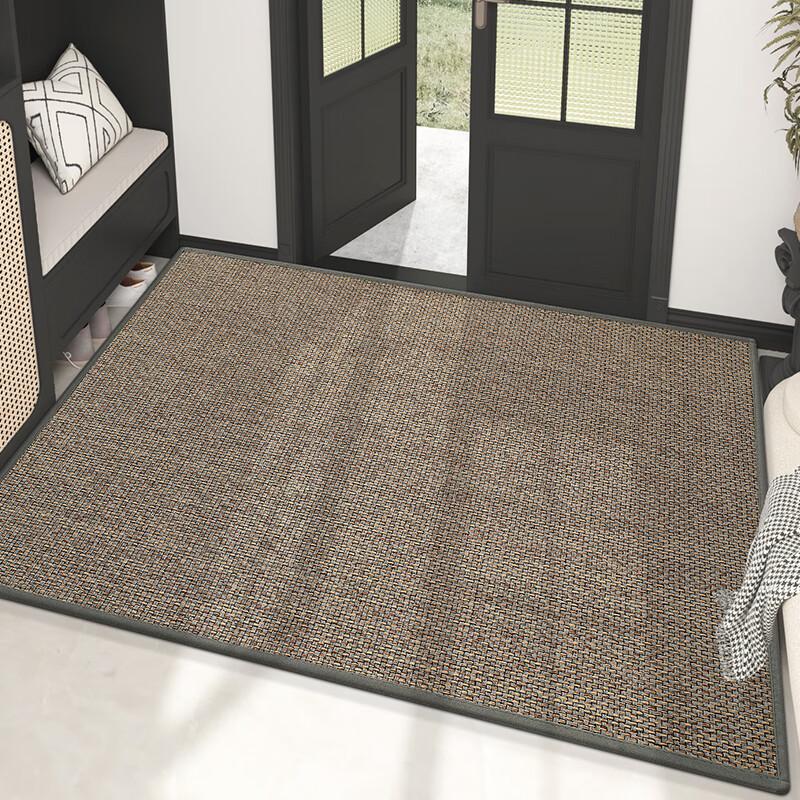 Dajiang Entrance Mat, Doorway Rug, Entryway Doormat, Foyer Mat, Luxurious High-End Carpet for Entrance, 80x120cm