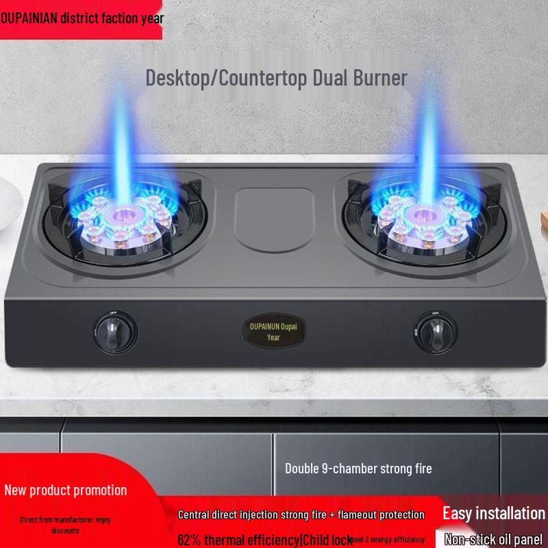 Double Burner Energy-Saving Gas Stove for Natural and Liquefied Petroleum Gas