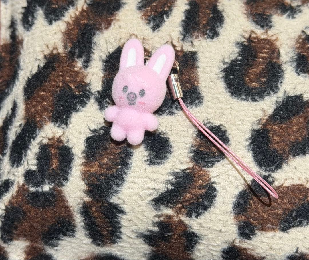 

[USED] Stray Kids Fan Meeting Tweekki Mini Charm
