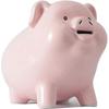 PIG WORLD Piggy Bank for Adults Must Break To Open, Ceramic,Girls Boys Money Box Coin Jar,Pink Mini Safe for Kids,Savings Bank for Adults,alcancias De