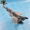 Xinnengda 1:48 J-10 Fighter Jet Model