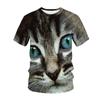 Sommar Rundhalsad 3D Katt Tryckt Topp Trendig Casual Kortärmad Barn Pojk T-shirts