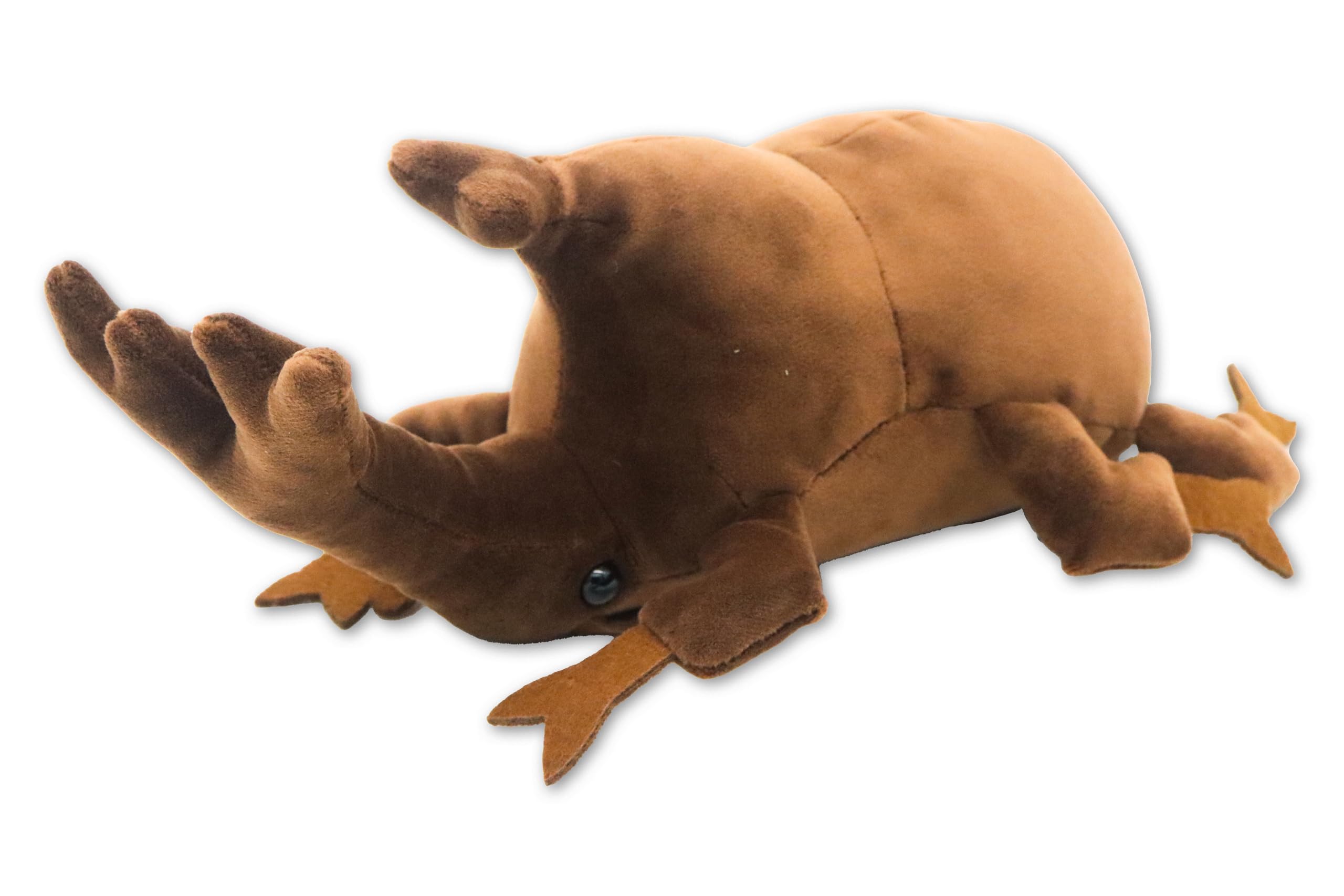 

Takeoff Cotton Cloudy S Rhinoceros Beetle