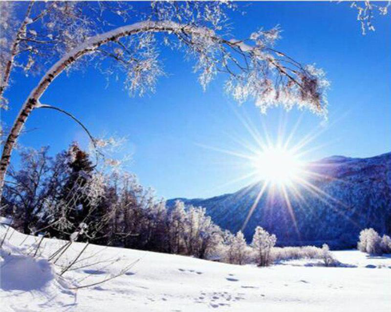 5D DIY Round / Square Diamond Painting Rhinoceros Animal Diamond Embroidery Cross Stitch Kit Cat Mosaic Picture Diamond Decoration Gift