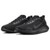 Nike Flex Experience Run 12 'Black Off Noir' Women's Sneakers DV0746-003