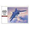 Hasegawa 1/48 Air Self-Defense Force F-15J/DJ Eagle Plastic Model PT51