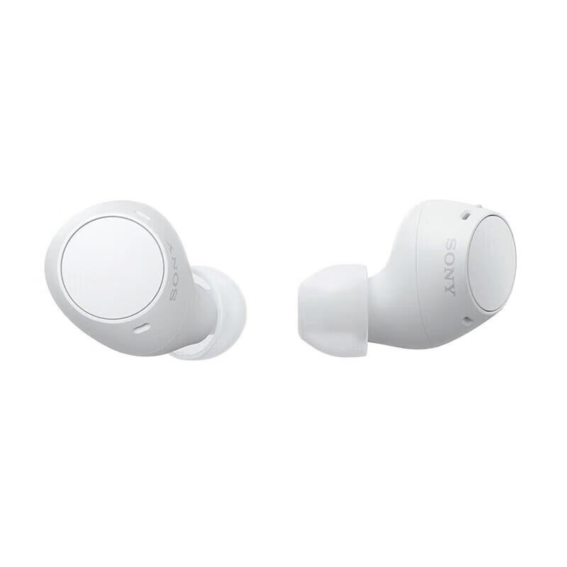 Sony WF-C510 True Wireless Earbuds