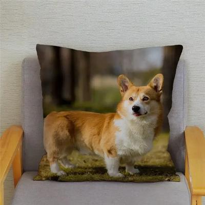 Simpatico Copricuscino per Cane Welsh Corgi Pembroke Decorazione Casa Animale Divano Auto