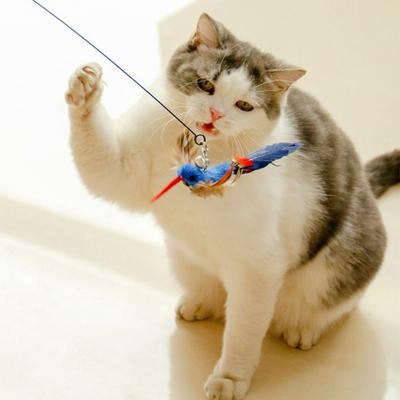 Gatos – Brinquedos para gatos
