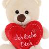 CEJAMA Teddybär Plüschtier mit Herz - 25 cm Kuscheltier mit Liebesbotschaft für Valentinstag, Geburtstag, Jahrestag, Muttertagsgeschenk