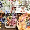 50 Pcs Ink Floral Stickers Transparent PET Waterproof Decals for Phone Case Journal Water Bottle Laptop Gift