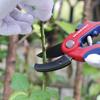 WORKPRO Pruning Shears with Locking 215mm Ideal for Pruning Dead Thin or Branches That Have Withered During and Dry Plants Mechanism, Long, Flowers,