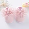 2022 New Soft Sole Princess Baby Shoes for Newborns, 0-1 Year, 3-9 Months