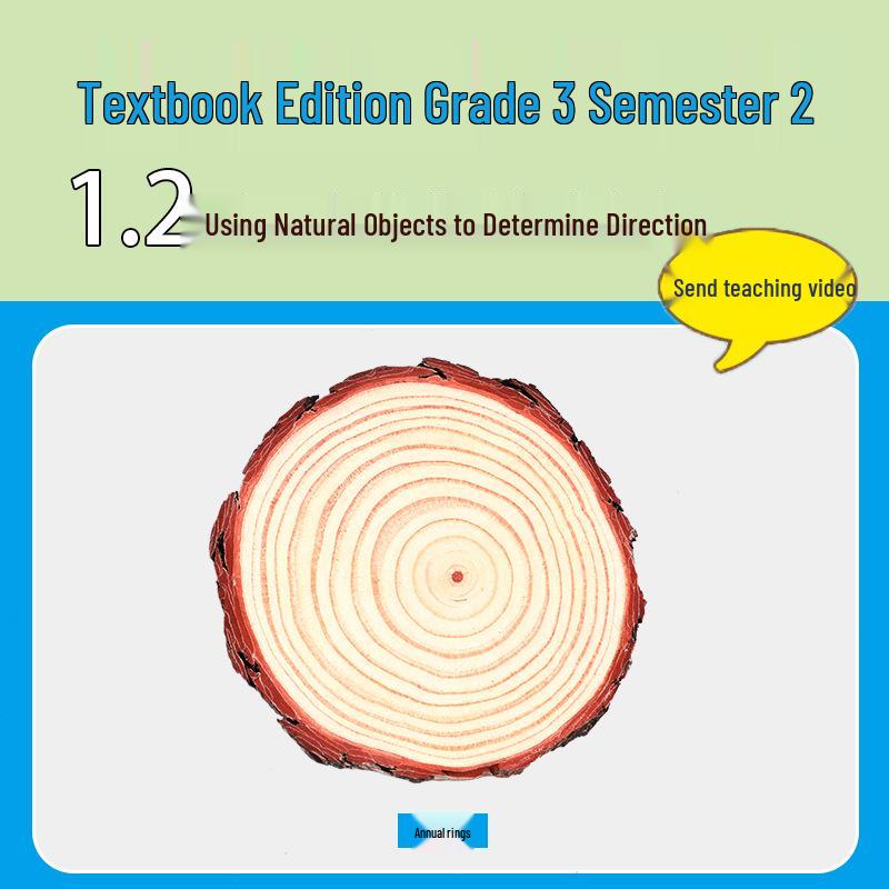 Third Grade Science Experiment Kit: Tree Rings & Natural Direction Tools