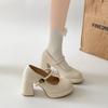 Designer Plateau Dicke Ferse Damen Mary Jane Schuhe Schlichte Höhensteigerung Schnalle Schuhe Damen Outdoor Elegante Kleiderschuhe