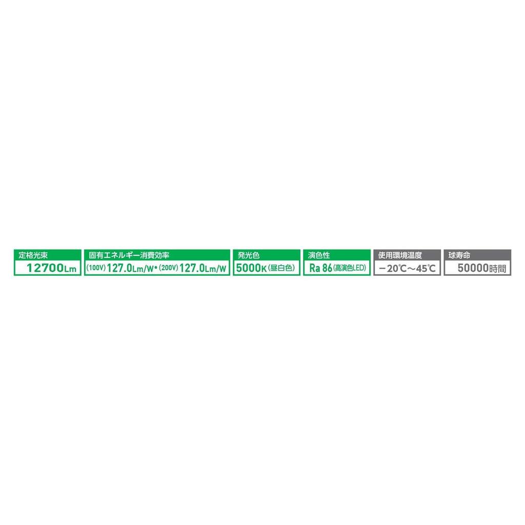 Nichido Kogyo Ecobic LED Flutlicht, 100W, Festinstallation, ATL-E100J-SBK-50K