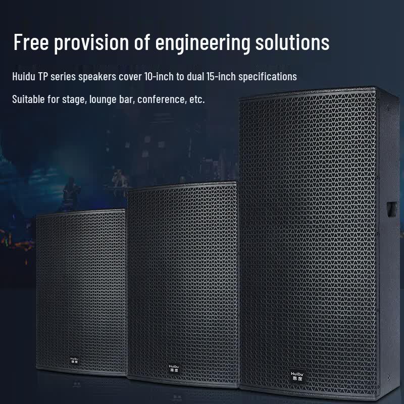 HuiDu TP-215 Professional Dual 15-inch Conference Speaker (CN version)