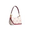 New COACH Women's Teri 24 Shoulder Bag CA251-IMCAH