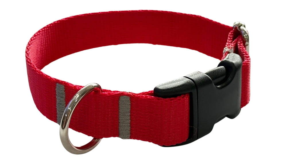 Dog Collar 2 cm with Buckle Adjustable Red Fasten Dog Collar 2 cm with Buckle Adjustable Red Fasten L: 40-55cm