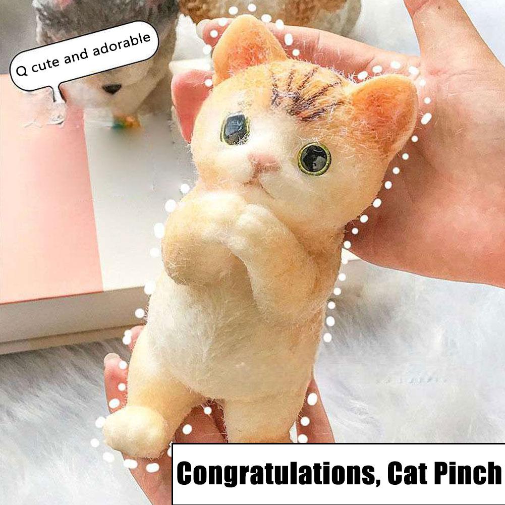 Congratulations Schnauzer Cat Teddy Simulation Large To Relaxing Pinch Cat Gift Schnauzer Congr O3P9