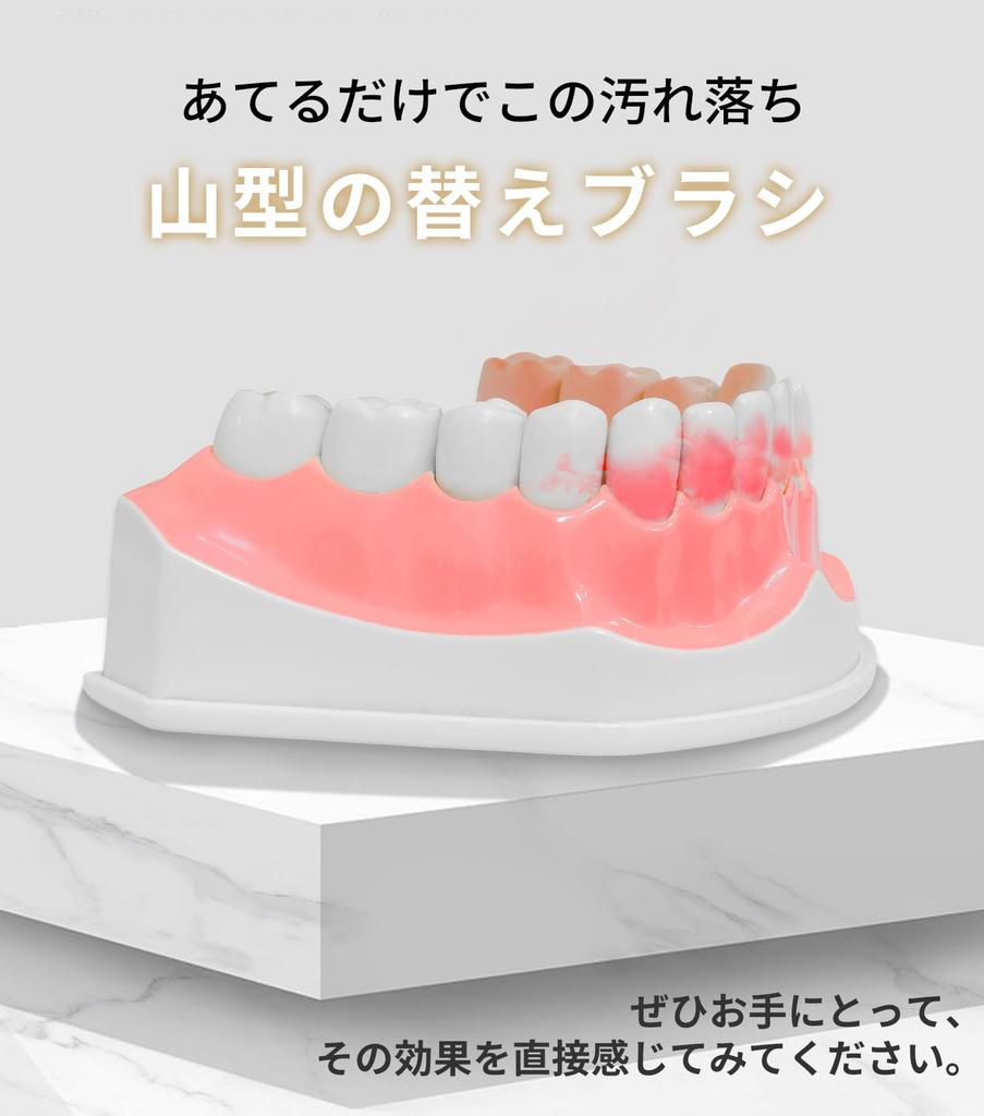 Epeios Elektrische Zahnbürste Schallzahnbürste Ersatzbürstenköpfe 8 Köpfe Zahnbürste Schalltyp Ersatzbürste für Elektrische Zahnbürsten