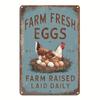 Vintage Farm Fresh Eggs Rustic Chicken Metal Sign 12x8 Inch Kitchen Wall Decor Aluminum Plaque