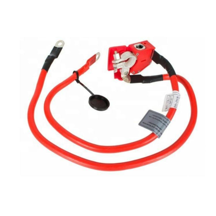 BMW 1 F20 Positive Battery Cable 61129253111