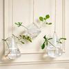 3 Pcs Hanging Glass Planter Clear Plant Propagation Stations Hydroponic Flower Vase for Indoor Home Office Living Room Decor