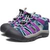 Sandals NEWPORT BOUNDLESS Newport Boundless LEGION Cm [KEEN] Kids' (15.0~19.5cm) BLUE/WILLOWHERB 17.0