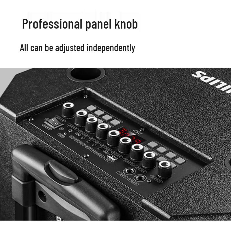 Philips SD170PRO 12-inch Portable Bluetooth Karaoke Speaker CN plug (adapter included)