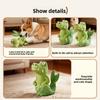 Latex Crocodile Eco-friendly Chew Toy for Dogs. A Dog Toy That Makes Noise When Chewed. A Great Way To Relieve Boredom.