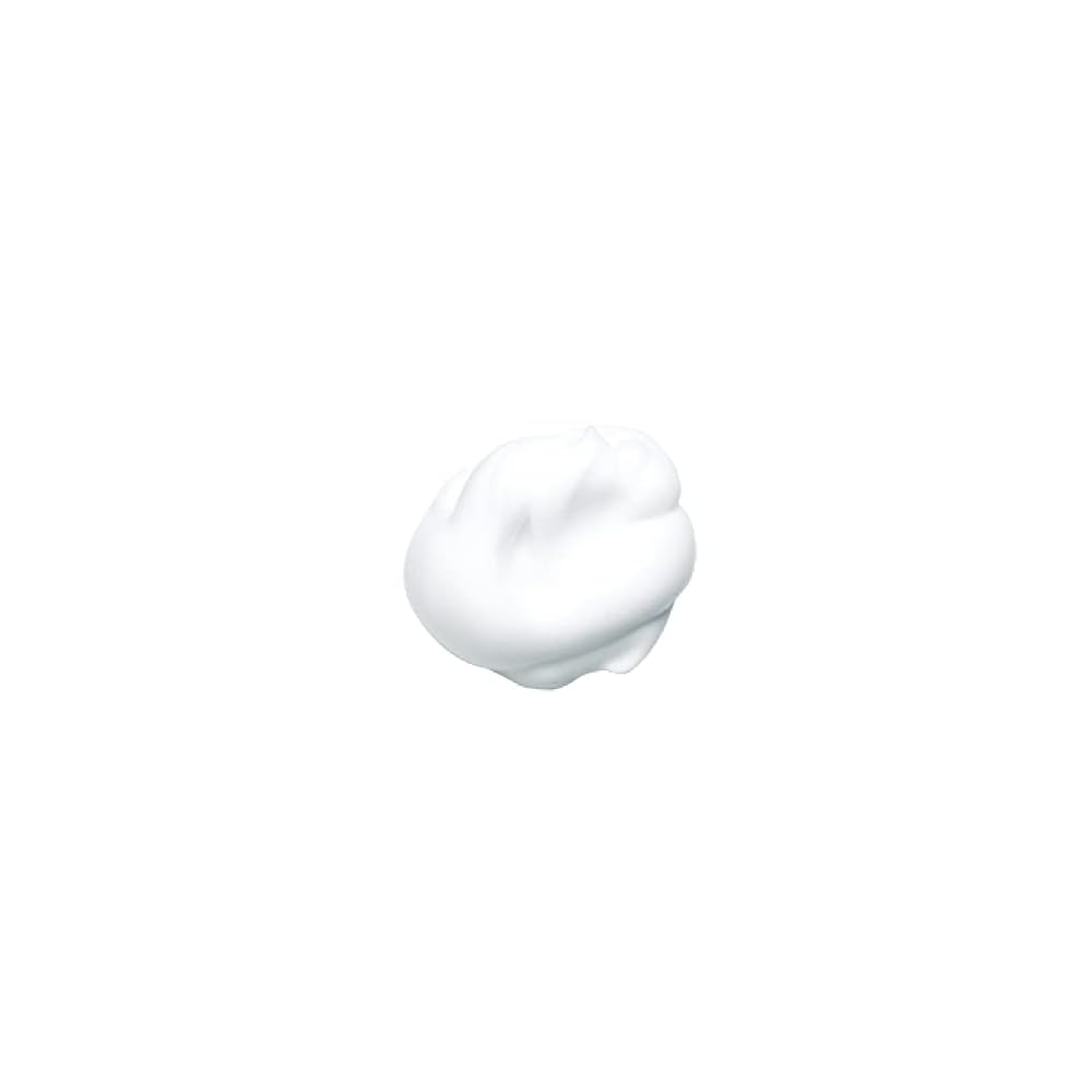 KANEBO Refreshing Creamy Wash a Facial Cleanser 130g Cream Type Rich Lather Exfoliates Dullness