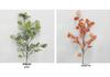 Eucalyptus Money Leaf Artificial Plant for Home Decoration