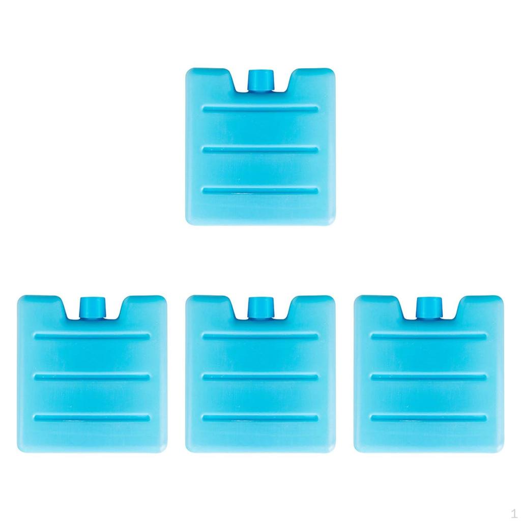 4 Heavy Duty Ice Blocks for , Portable And Reusable, Ideal BBQs, Fishing, Picnics, Hiking