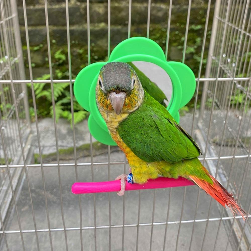 Plastic Material Parrot Mirror Stand Toy Flower Shape Bird Cage Mirror Toy  For Budgie