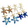Elegant Starfish Earrings Personality Star Dangle Earrings Unique Starfish Ear Pendant  Vacation