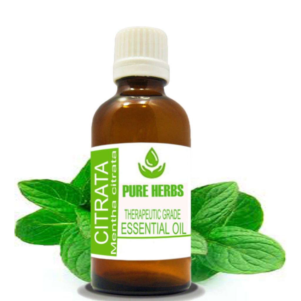 Pure Herbs Citrata 100% Pure & Natural Mentha Citrata Essential Oil ZA 303