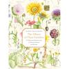 The Album of Plant Families: An Illustrated Exploration of Nature's Beauty and Bounty