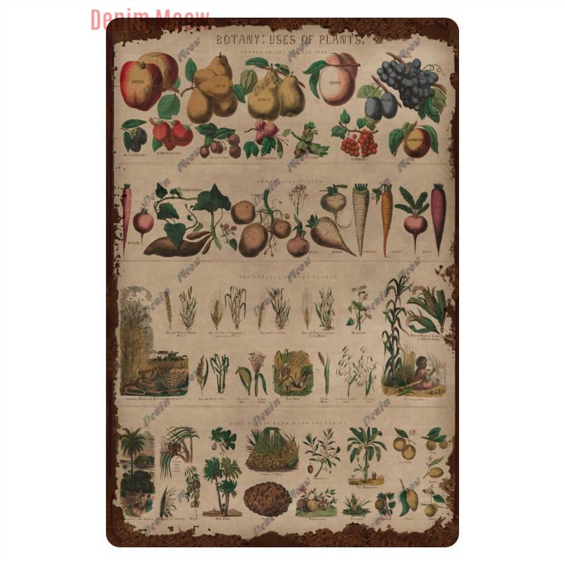 Funny Plants Metal Tin Sign Vintage English Flowers Retro Fruits Butterflys Animals Wall Poster Home Plates WY