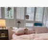 French-Inspired Floral Cotton Puff Lace Trim Bedding Set, 4-Piece Sheet and 3-Piece Duvet Cover