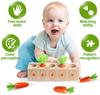 Toys Educational Montessori Wooden for 1 2 3 Years Toddlers Size Sorting Counting Puzzle Carrot Harvest Game Toy Kids Boys Girls