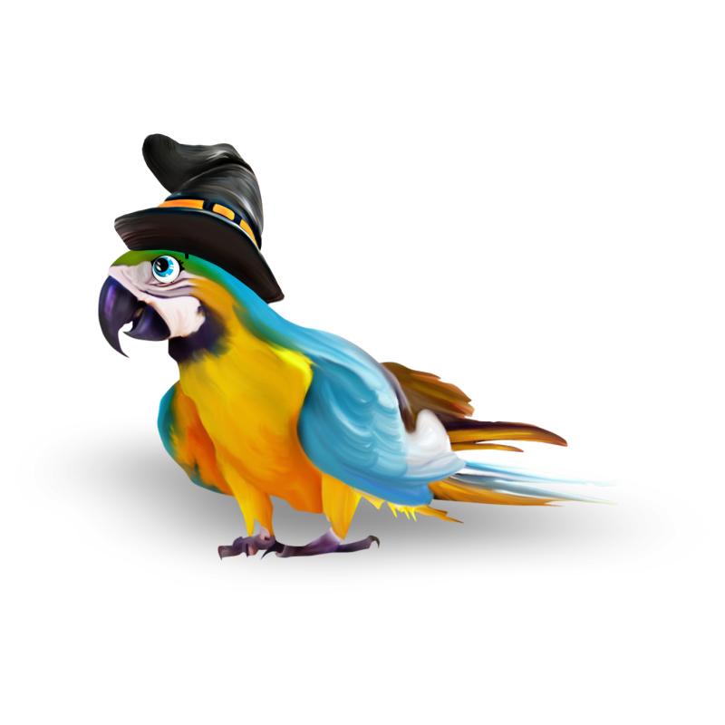 Rainbow Lorikeet On Tropical Flowers Sticker On The Car Vinyl Decal Waterproof Decoration Car Stickers