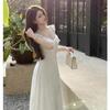 Elegant Lace V-neck Long-sleeve Dress: Slim Fit A-line Skirt for Early Spring