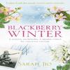 Blackberry Winter by Sarah Jio Paperback Book 9781409190776