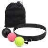 3X Fight Reflex Ball + Bag