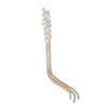 Elegant Women's Brooch with Long Thread Lapel Pin Stylish Wheat Ear Jewelry Flowing Fringe Sparkling Crystal Lapel Pins