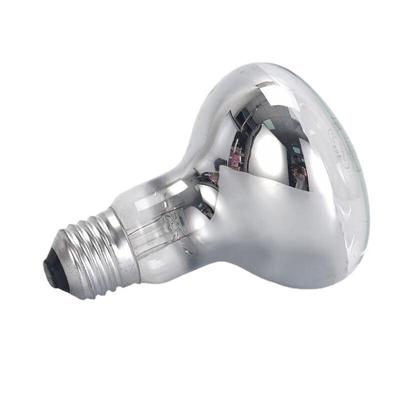 Lampadine – Lampade UV