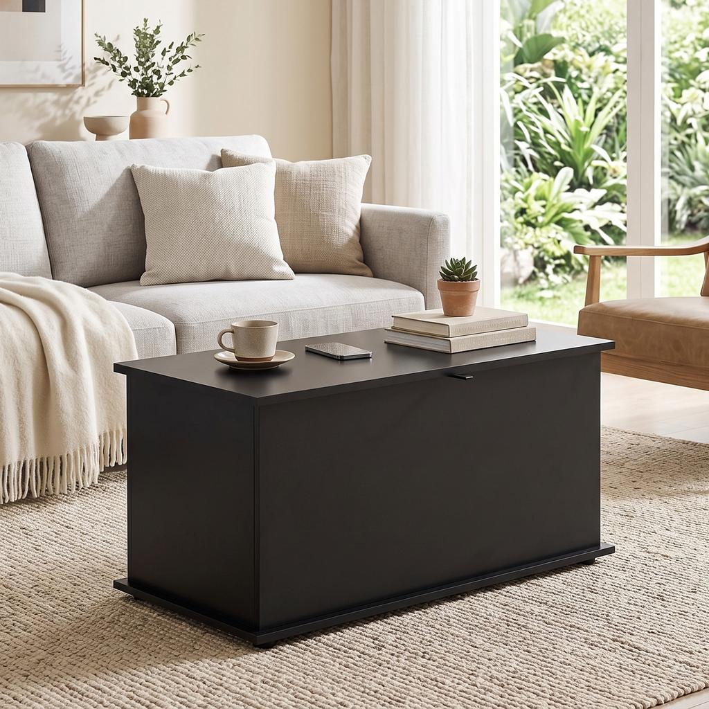 Storage Chest Large 102L Blanket Box 80 x 40 x 45cm, Black