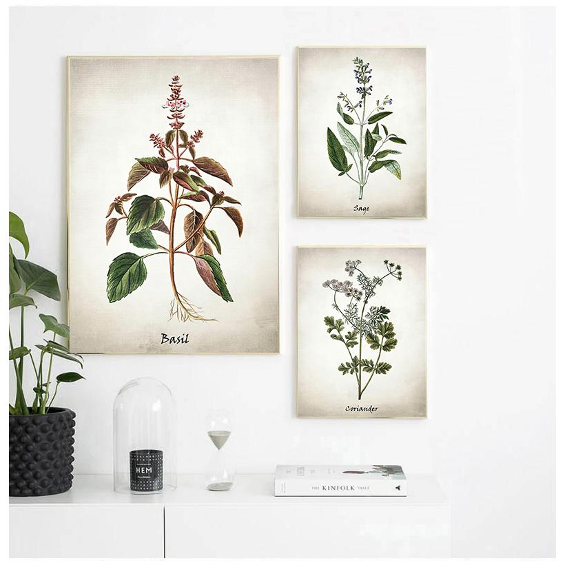 Herb Canvas Art Painting Vintage Herbal Illustrations Posters and Prints Culinary Herbs Botanical Kitchen Wall Art Picture Decor