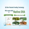 Yili QQ Star Native DHA Kids Milk